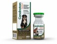 CONDROTON INJETAVEL 10ML